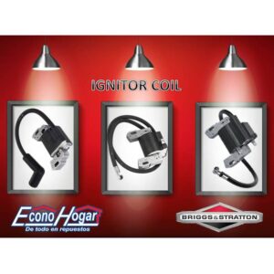 REPUESTOS DE BRIGGS & STRATTON #3