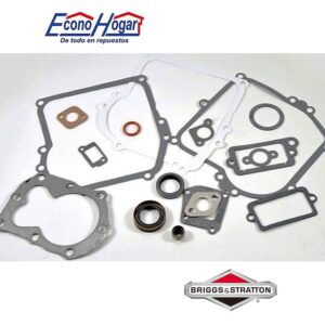 JUEGO DE EMPAQUE BRIGGS & STRATTON